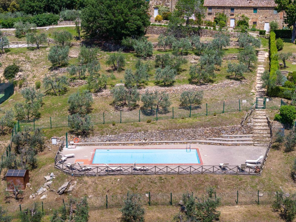 Borgo Nel Chianti Istrice Con Piscina Tennis E Wifi 卡斯特利纳－因基安蒂 外观 照片