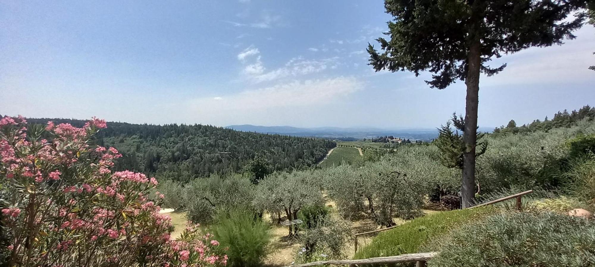 Borgo Nel Chianti Istrice Con Piscina Tennis E Wifi 卡斯特利纳－因基安蒂 外观 照片