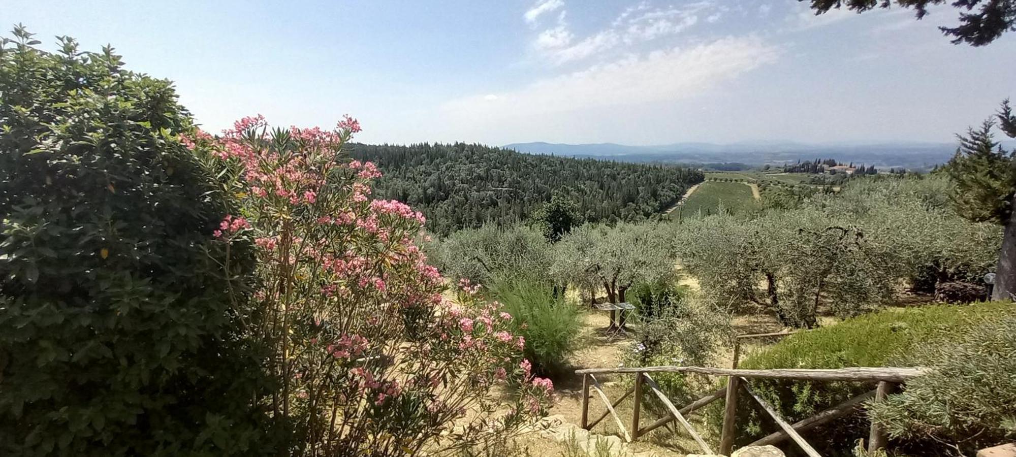 Borgo Nel Chianti Istrice Con Piscina Tennis E Wifi 卡斯特利纳－因基安蒂 外观 照片